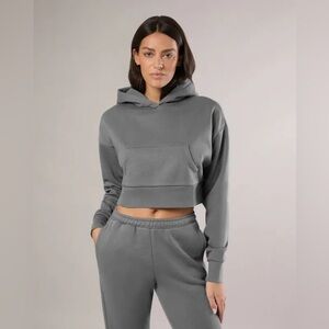 IVL Collective Cropped Fleece Hoodie In Steel